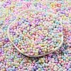 Macaron Color Opaque Frosted Glass Seed Beads X-SEED-K009-12B-01-1