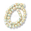 Handmade Lampwork Beads Strands LAMP-D015-11A-2