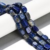 Natural Lapis Lazuli Beads Strands G-M403-D03-01-2