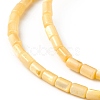 Natural Freshwater Shell Dyed Beads Strands SHEL-M018-12-01-3