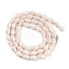 Opaque Solid Color Electroplate Glass Beads Strands EGLA-N013-P10mm-B08-2