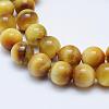 Natural Gold Tiger Eye Beads Strands G-K203-84-8mm-3