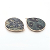 Natural Kambaba Jasper Pendants G-E526-01L-3