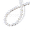 Natural Freshwater Shell Beads Strands BSHE-T009B-01A-2