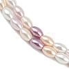 Electroplated Shell Pearl Beads Strands BSHE-H113-06C-01-3