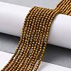 Electroplate Glass Beads Strands LS-GLAA-H021-01A-FP04-3