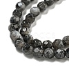 Natural Larvikite Beads Strands G-E571-A09-04-4