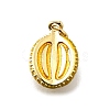 Brass Enamel Pendants KK-Z104-06G-01-1