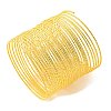 Iron Jewelry Wire IFIN-E025-03A-G-2