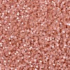 MIYUKI Delica Beads X-SEED-J020-DB1863-3