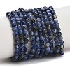 Natural South Africa Sodalite Beads Strands LS-G-S259-35-4mm-1