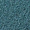 MIYUKI Delica Beads SEED-X0054-DB1283-3