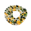 Electroplate Glass Beads Strands GLAA-T023-A17-04-2