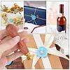 DIY Wax Seal Stamp Kits DIY-CP0003-91C-5