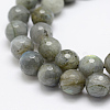 Natural Labradorite Beads Strands G-P322-28-10mm-3