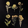6Pcs Plant PET Adhesive Waterproof Stickers DIY-K074-01D-3