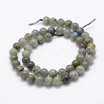 Natural Labradorite Beads Strands G-P322-29-8mm-1