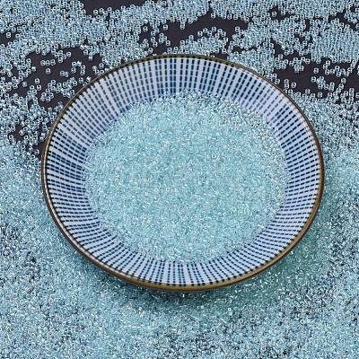 MIYUKI Delica Beads SEED-J020-DB1672-1