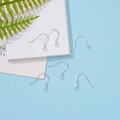 925 Sterling Silver Earring Hooks STER-E046-01S-1