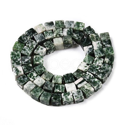 Natural Green Spot Jasper Beads Strands G-T139-6x6-23A-1