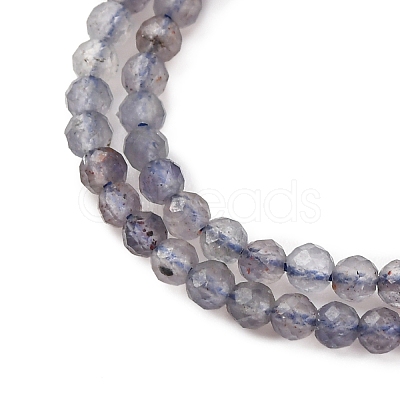 Natural Iolite Beads Strands G-D320-A01-2mm-1