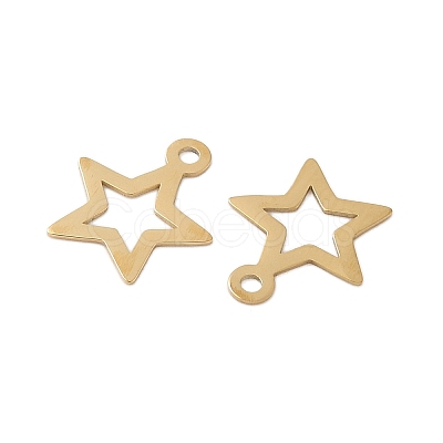 304 Stainless Steel Charms STAS-K306-06B-G-1