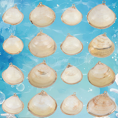 30Pcs Electroplated Natural Shell Pendants SSHEL-SC0001-58-1