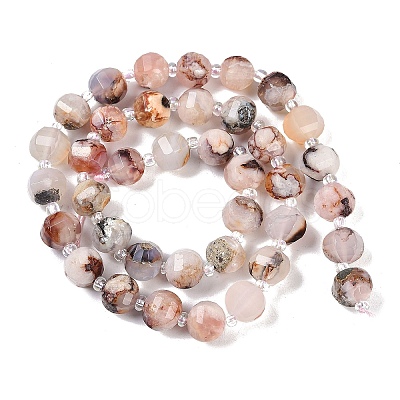 Natural Cherry Blossom Agate Beads Strands G-G182-B40-03-1