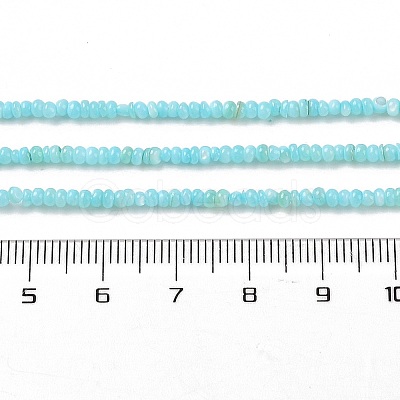 Natural Freshwater Shell Beads Strands SHEL-P017-01A-03-1
