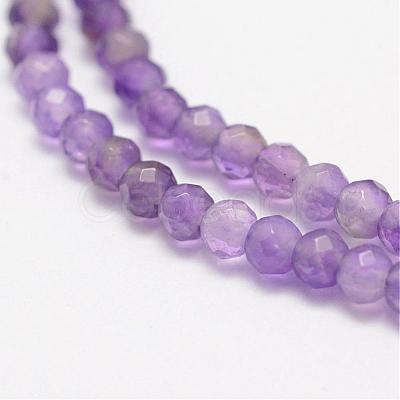 Natural Amethyst Beads Strands G-F460-50-1