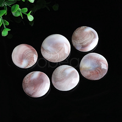 Natural Conch Shells Round Decorations PW-WG89460-01-1