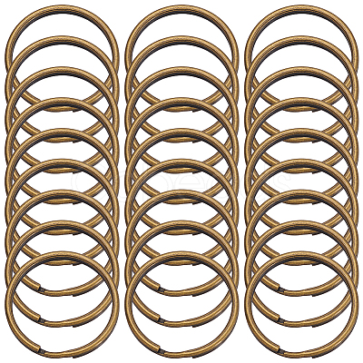 50Pcs Iron Keychain Clasps FIND-SP0005-56AB-1
