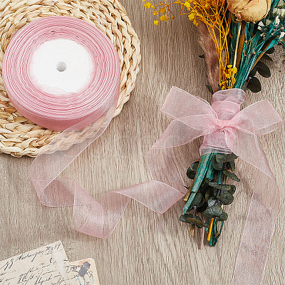 1 Rolls Sheer Organza Ribbon SRIB-CY0001-22A-02-1