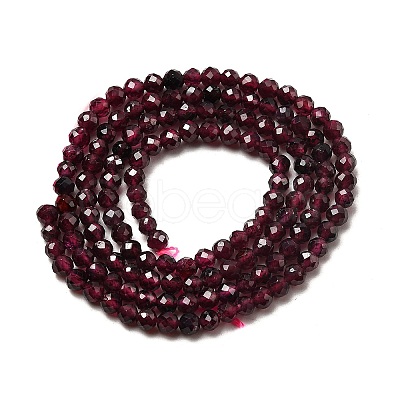 Natural Garnet Beads Strands G-I341-09B-01-1