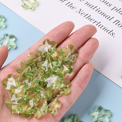 Transparent Acrylic Beads TACR-S154-32B-83-1