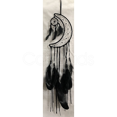 Woven Web/Net with Feather Pendant Decorations DARK-PW0001-096C-1