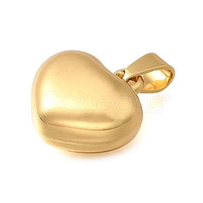 304 Stainless Steel Pendants STAS-H200-01G-12-1