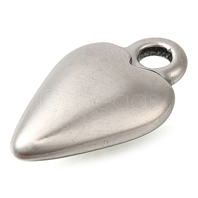 Anti-Tarnish 304 Stainless Steel Pendants STAS-I310-06P-1