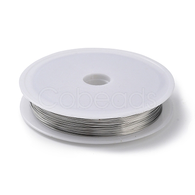 Non-Tarnish 10 Rolls 304 Stainless Steel Wire TWIR-H001-01D-P-1