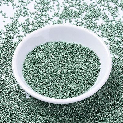 MIYUKI Delica Beads SEED-X0054-DB1171-1