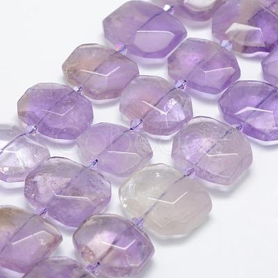 Natural Ametrine Beads Strands G-P322-08H-1