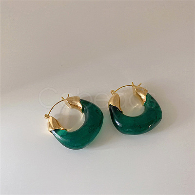 Retro Alloy Resin U-Shaped Hoop Earrings FS-WG1DDE7-05-1