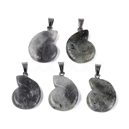 Natural Labradorite Pendants G-Q601-45B-1
