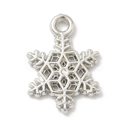CCB Plastic Pendants CCB-I007-08P-1