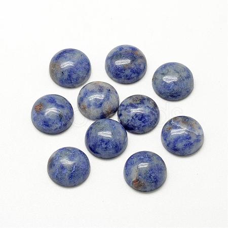 Natural Blue Spot Jasper Cabochons G-R416-14mm-45-1