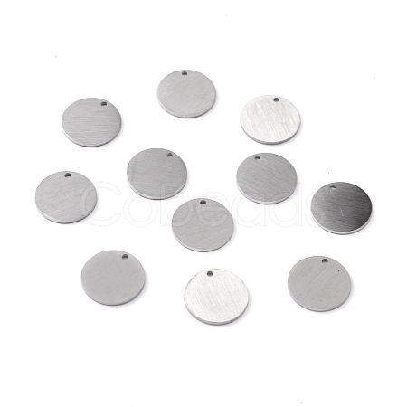 Tarnish Resistant 304 Stainless Steel Pendants STAS-F271-02B-P-1