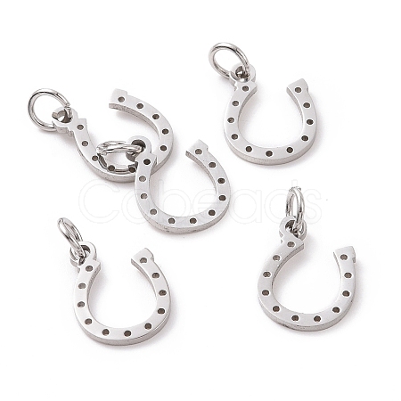 Tarnish Resistant 304 Stainless Steel Charms STAS-S105-T519S-1
