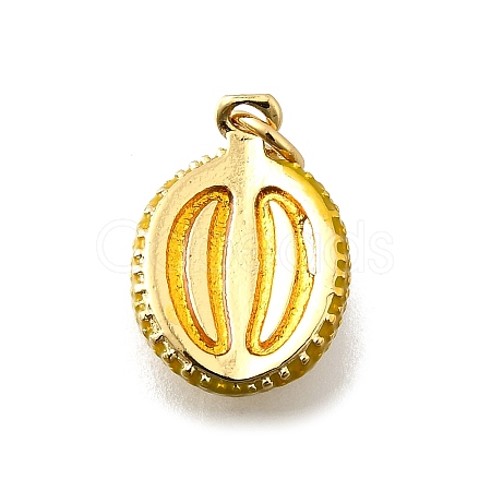 Brass Enamel Pendants KK-Z104-06G-01-1