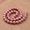 Polished Round Grade A Shell Pearl Bead Strands BSHE-M027-6mm-13-2