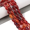 Natural Red Agate Beads Strands G-Q194-B01-01K-2